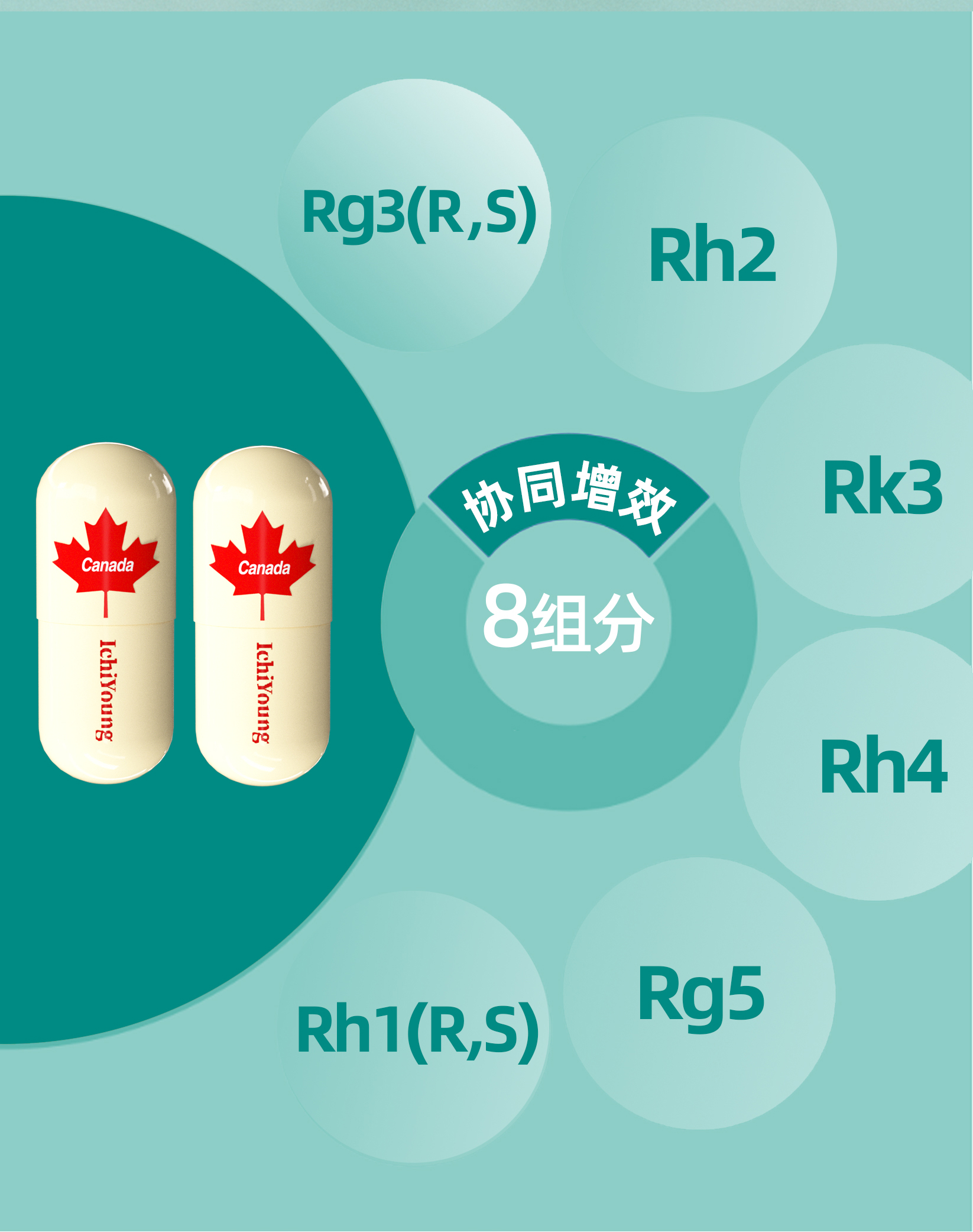 益漾Ichiyoung稀有人参皂苷胶囊,每粒胶囊都含100mg的高纯度稀有人参皂苷