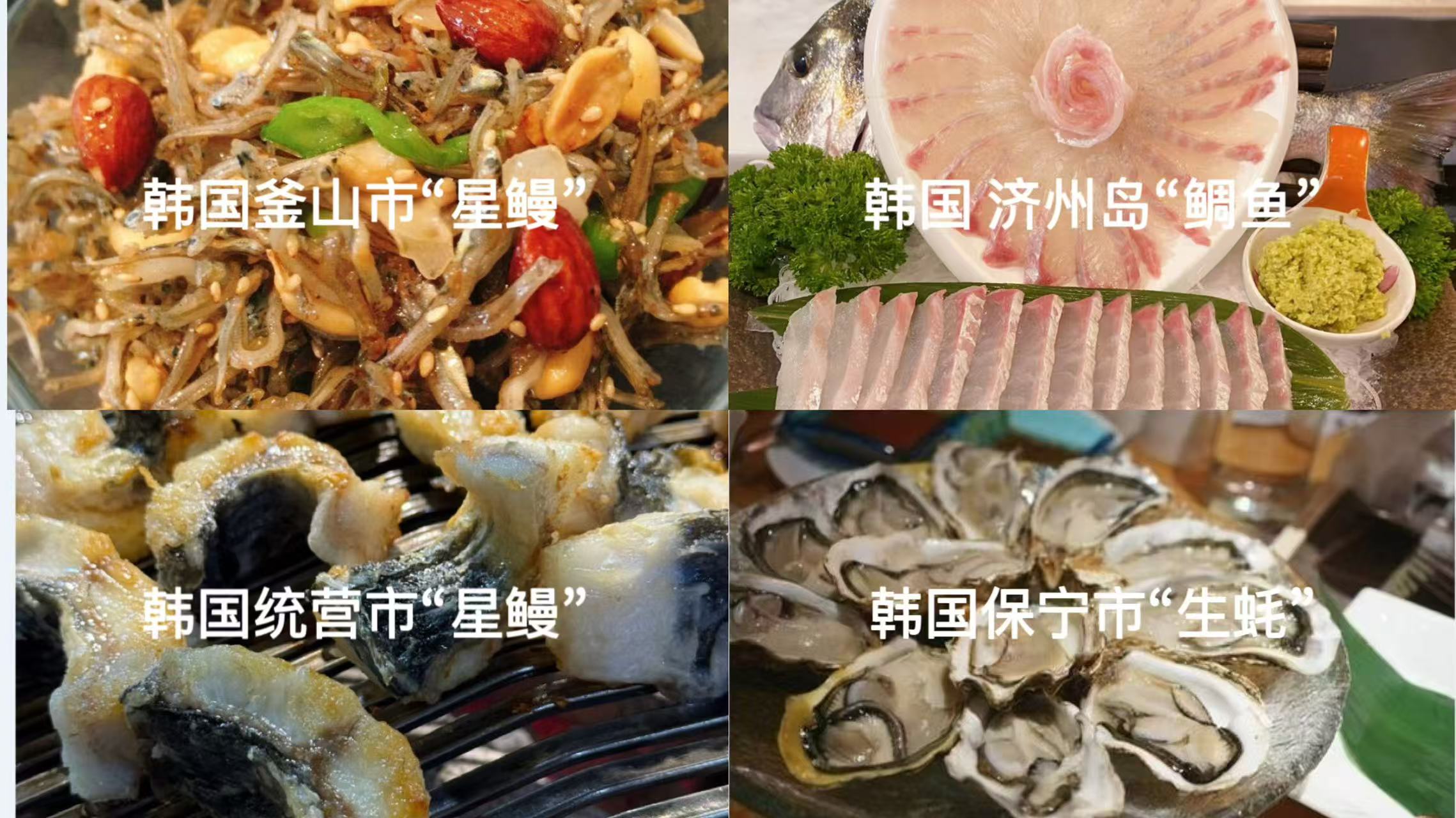 微信图片_20250911124010_261_70.jpg