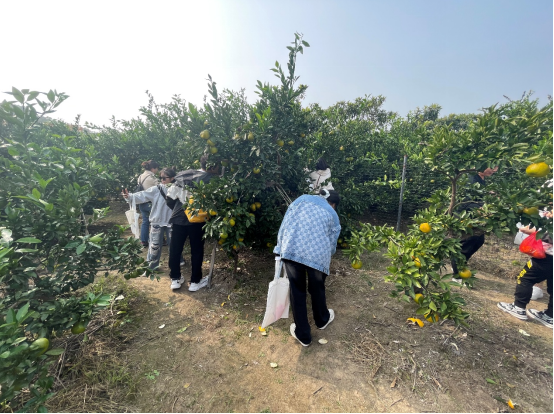 1762227206140097184.png image.png