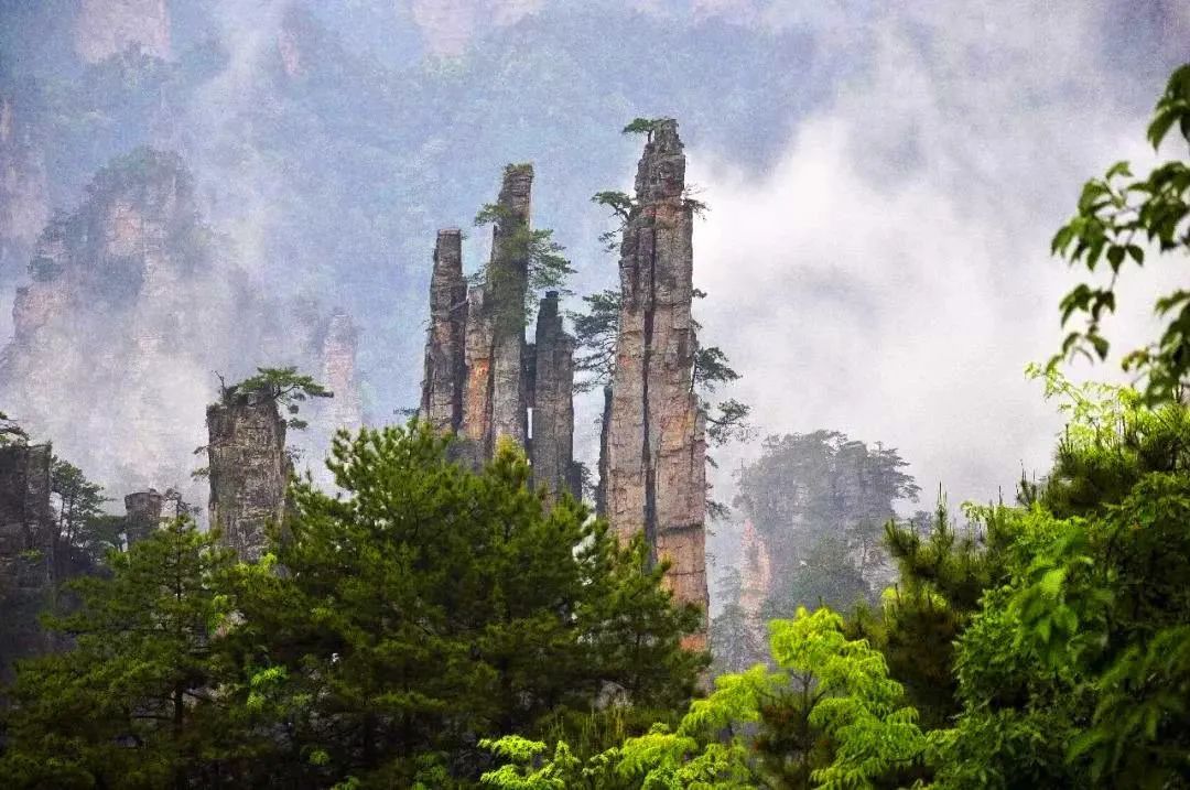 桑植八大公山自然保护区：澧水发源地，好山自然出好水