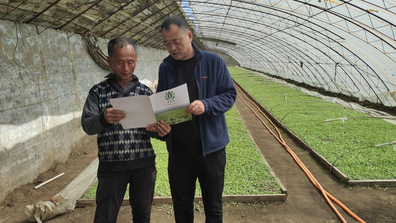 铁岭市烟草专卖局（公司）送技术助力烟农保生产