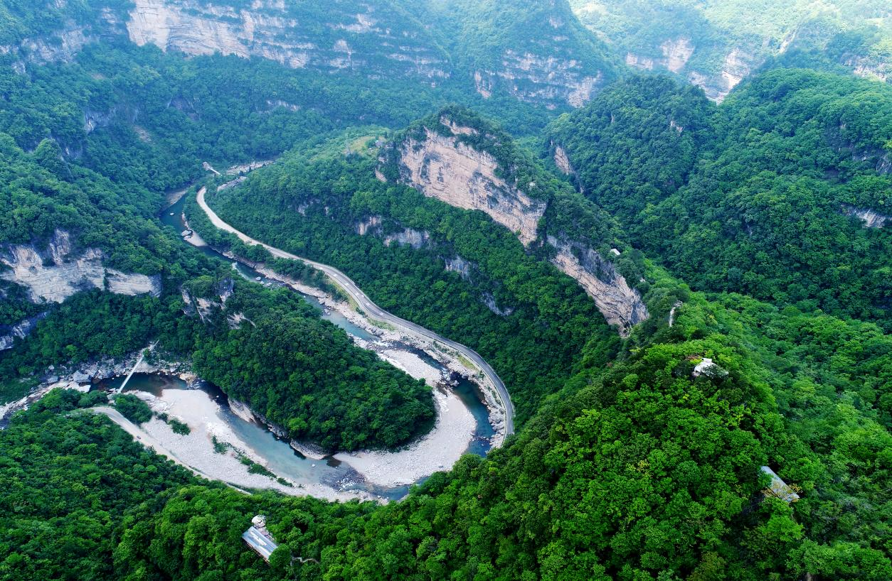 “游”与“学”齐飞—巴中光雾山旅游区举办球猴森林语言大师课