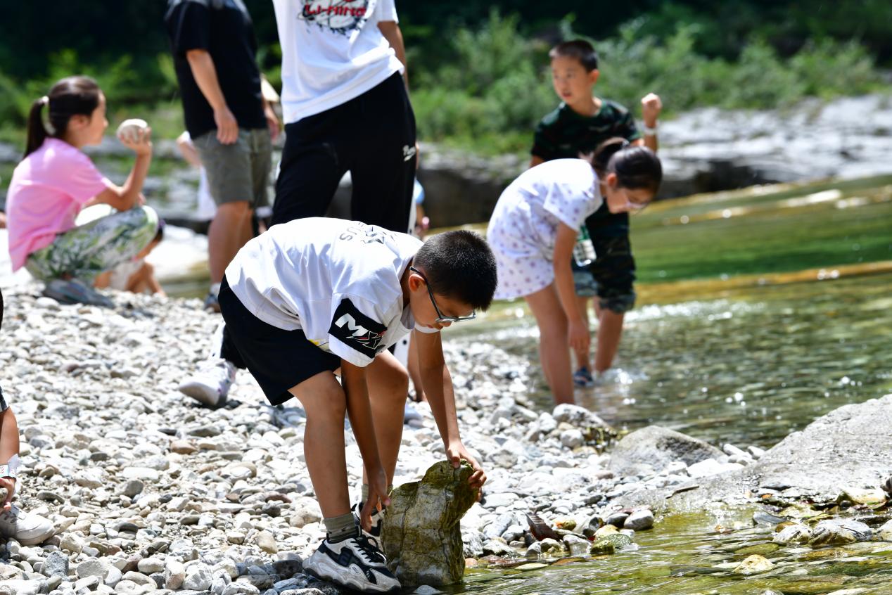 “游”与“学”齐飞—巴中光雾山旅游区举办球猴森林语言大师课