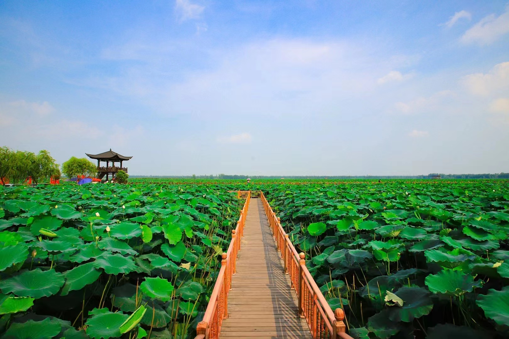 相约安徽 向春而行 | "淮畔明珠 大美霍邱"霍邱(合肥)文旅资源暨招商