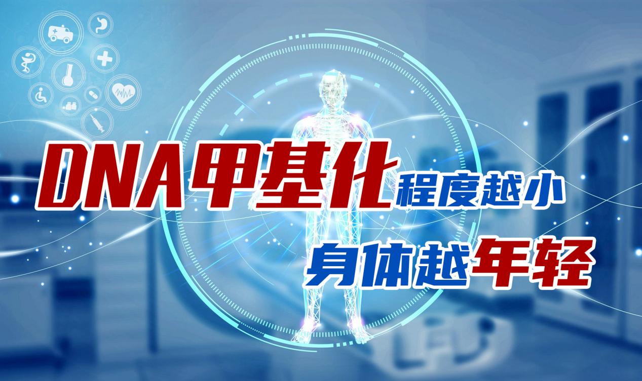 DNA甲基化影响衰老进程？新研究揭示八子补肾可改善甲基化年龄