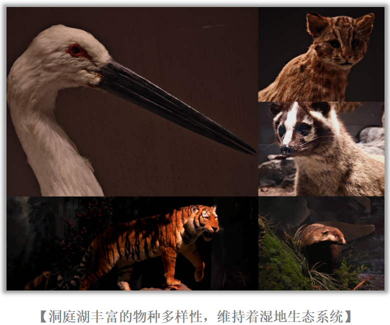 新闻1.png