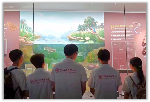 新闻2.png