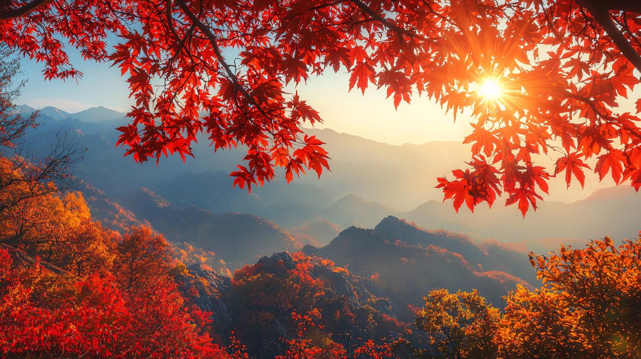 百瑞赢：层林尽染秋意浓，踏秋赏叶正当时