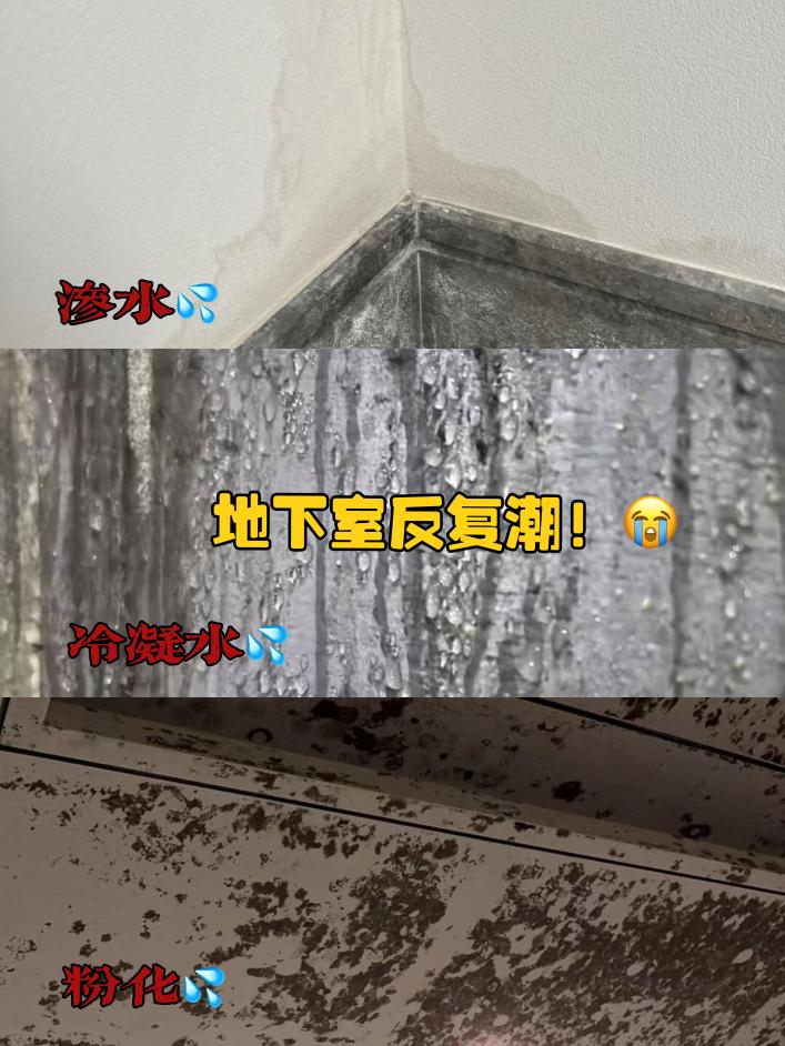 2025年地下室防水防潮全攻略:从材料选择到长效解决方案