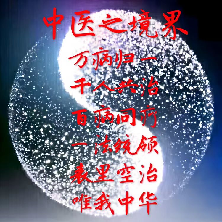 ​守正传薪开新境 空天中医济苍生——记量子物理中医学探索者林信德院长