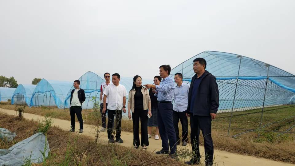 中禾至佳與中百倉儲(chǔ)深化合作，共促生態(tài)蔬菜發(fā)展(圖3)