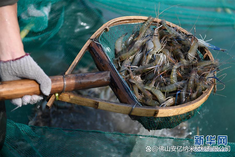 安亿高保温膜闪耀水产养殖市场，高效保温吸引消费者的关注图2