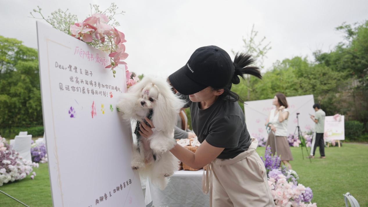 当爪印遇见誓言：香佩特x崇明金茂凯悦打造五星级宠物香氛婚礼