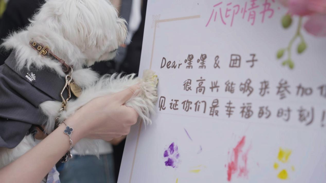 当爪印遇见誓言：香佩特x崇明金茂凯悦打造五星级宠物香氛婚礼